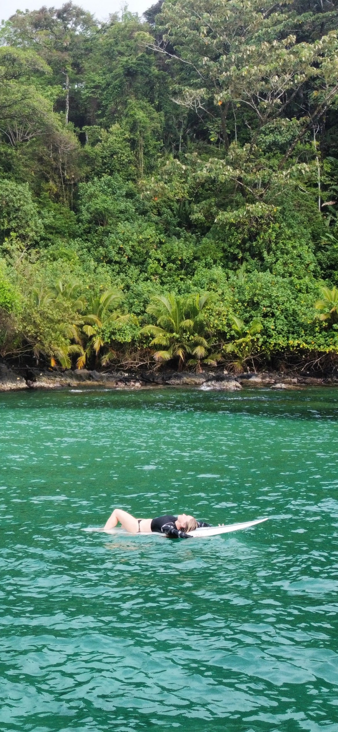 Learn to surf with grace and confidence