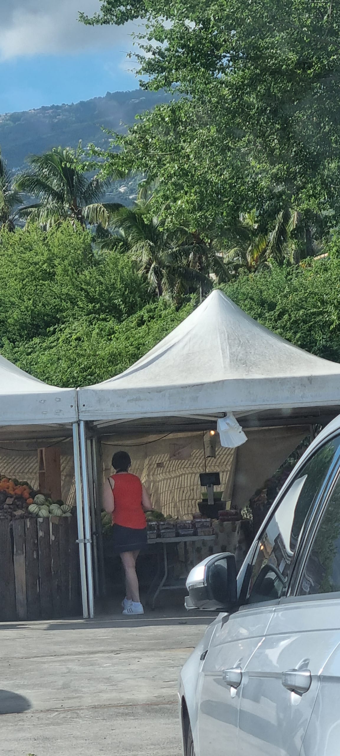 Hike to the volcano as soon as you arrive on the island