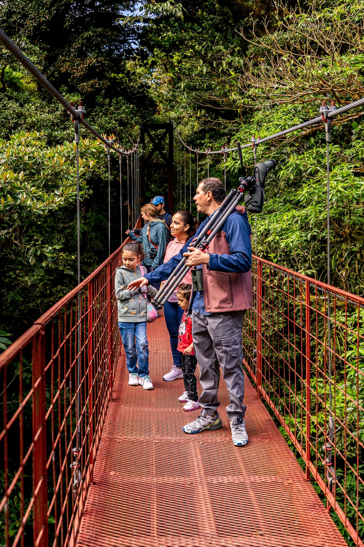 Explore the cloud forest in Monteverde