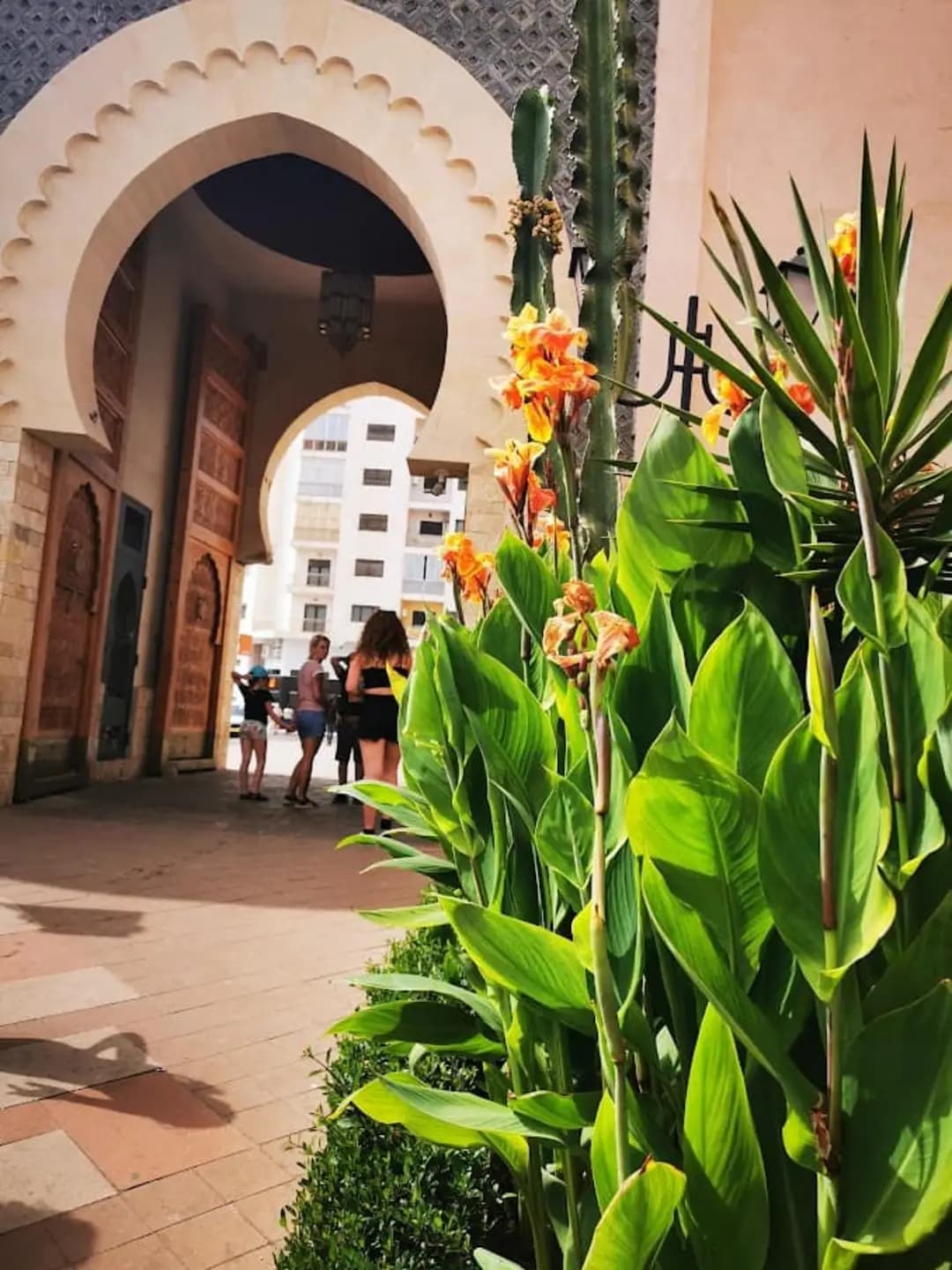 Agadir City Guided Walking Tour