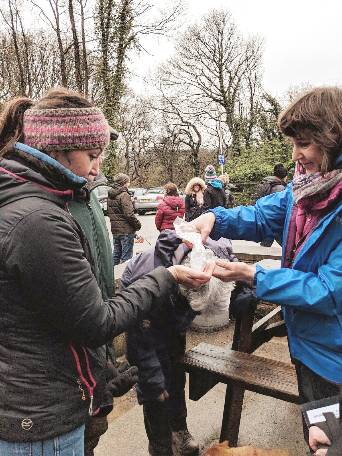 Forest Bathing among Wild Herbs in the Peaks