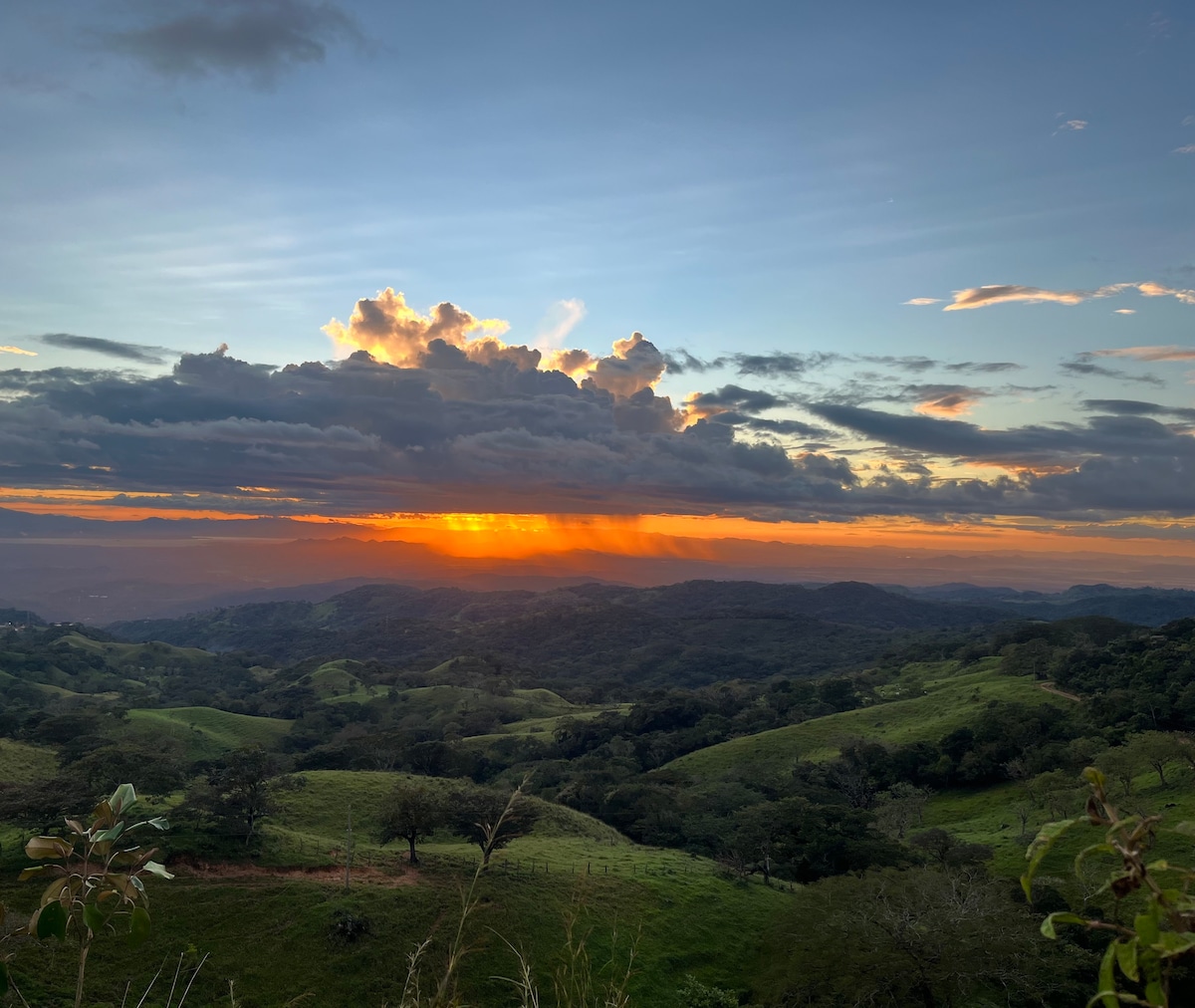 Night walk among the natural jewels of Monteverde