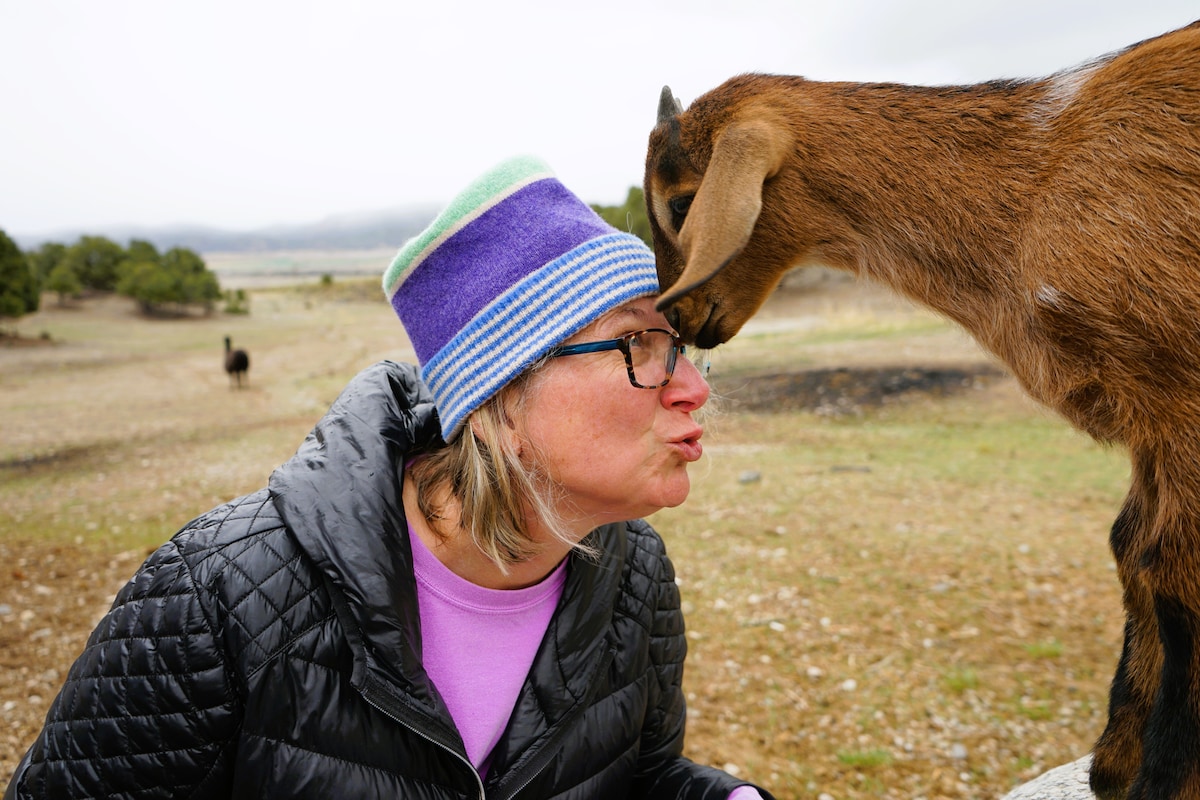 סיור בחוות Mountain Goat Lodge