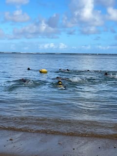 Chasse sous-marine sur un récif hawaïen pour débutants