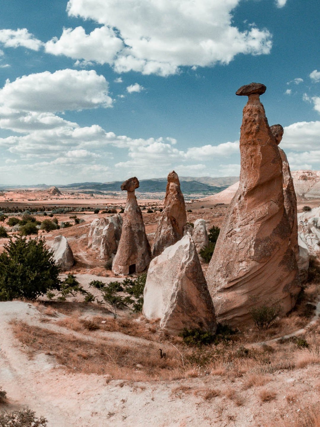 Ride camels in Cappadocia Valleys
