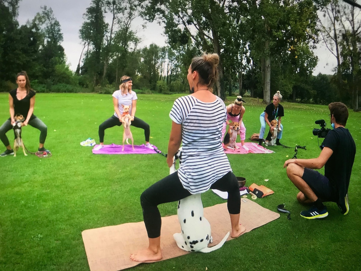 Faites du yoga avec votre chien