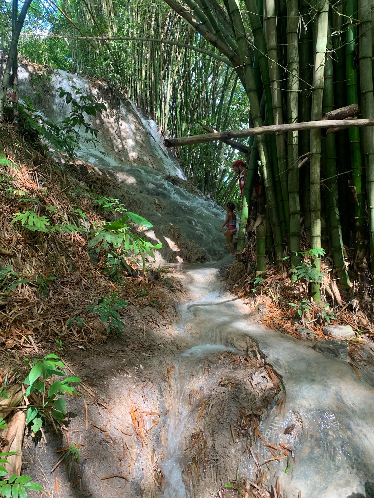 Raft Jamaica’s river and feast by waterfalls