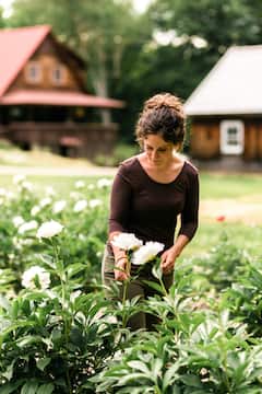 Pick peonies on a flower farm