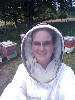 Explore the secret life of bees