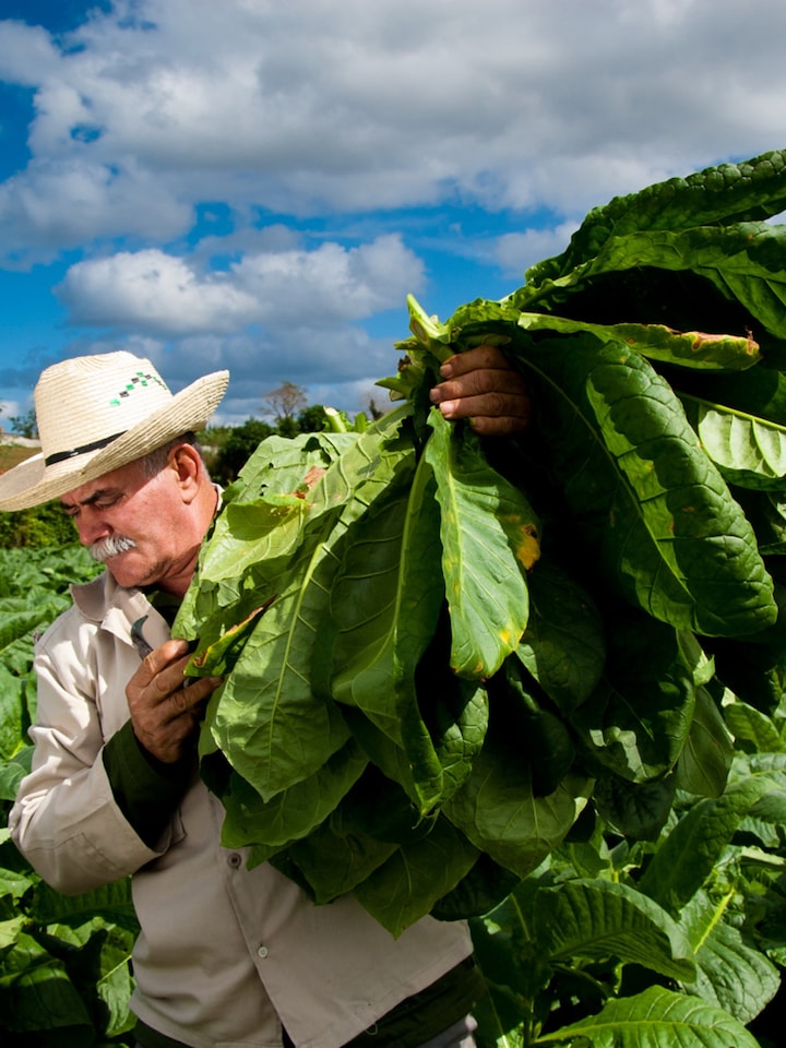 california excise tax on tobacco Should California Raise Tobacco Taxes? (Includes Lesson Plan)