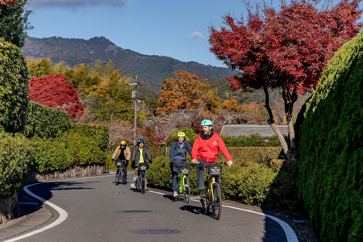 Bike the top highlights of Kyoto
