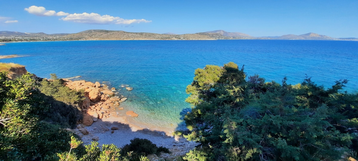 Explore wooden houses and secret bays