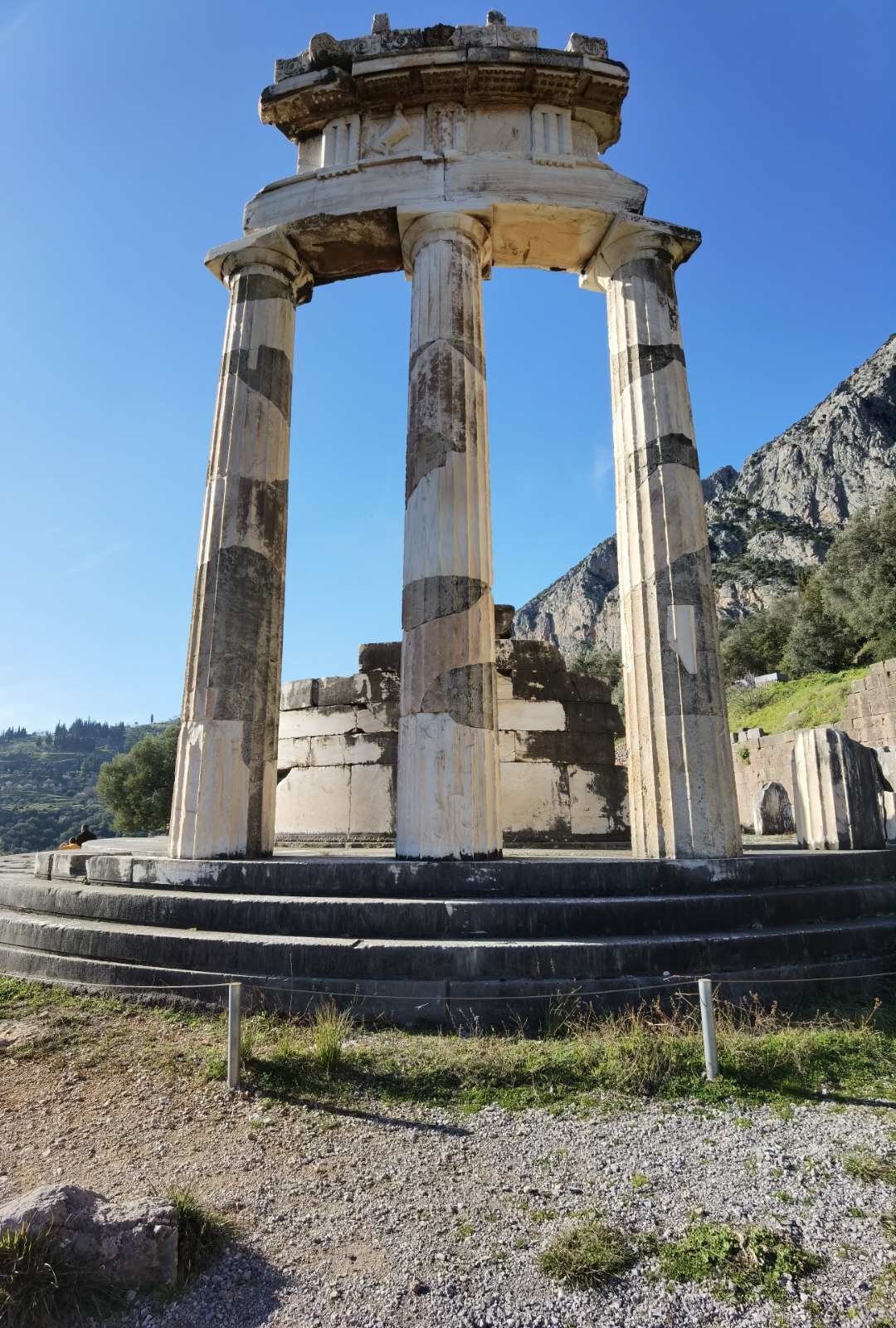 Დელფის ძიება