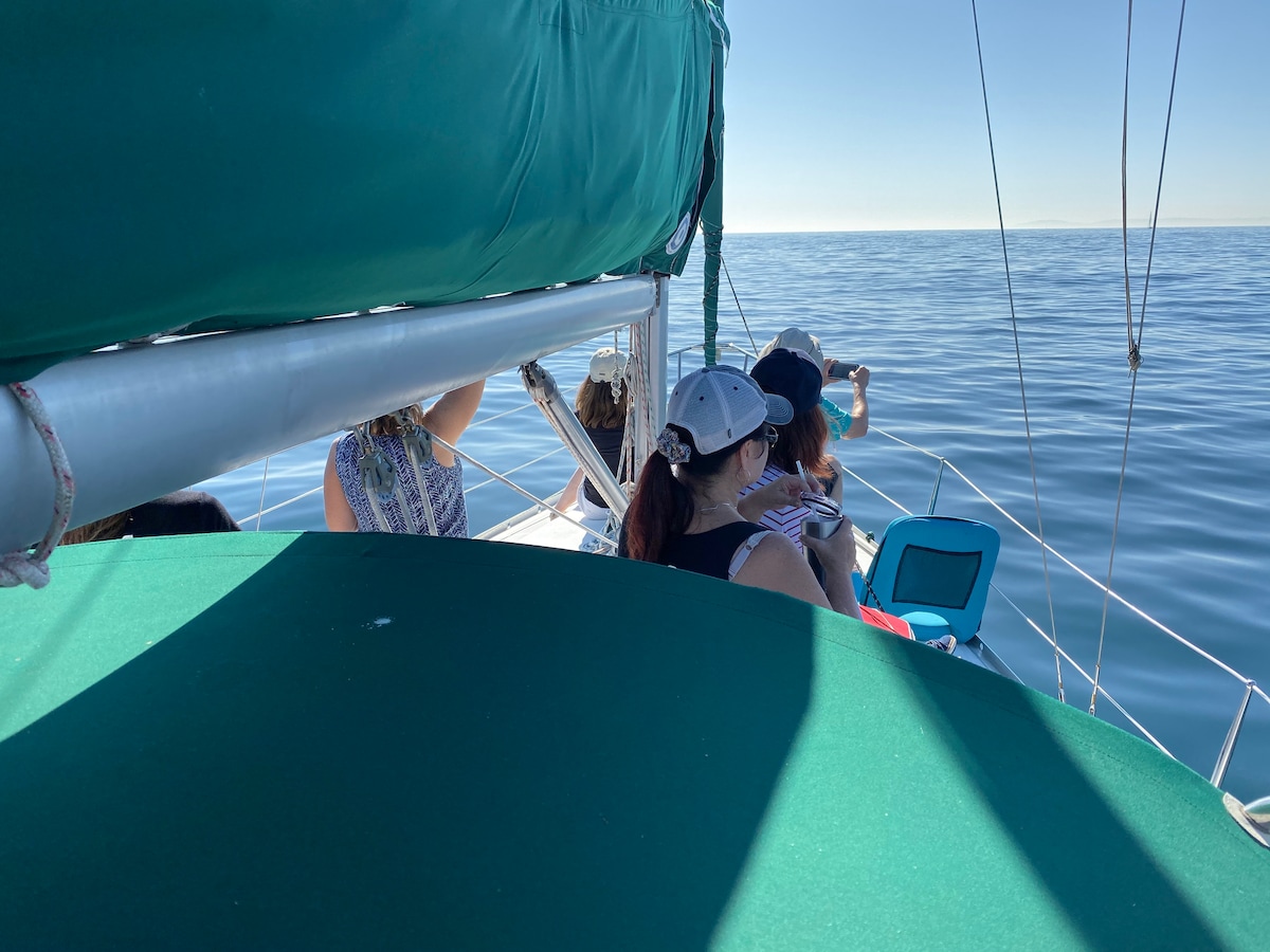 Gateway Plaza Park in Alhambra, United States - reviews,open hours,photo  spots, things to do | WanderBoat AI Trip Planner