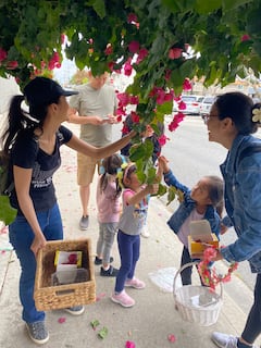 洛杉矶可食用植物和蘑菇采摘之旅