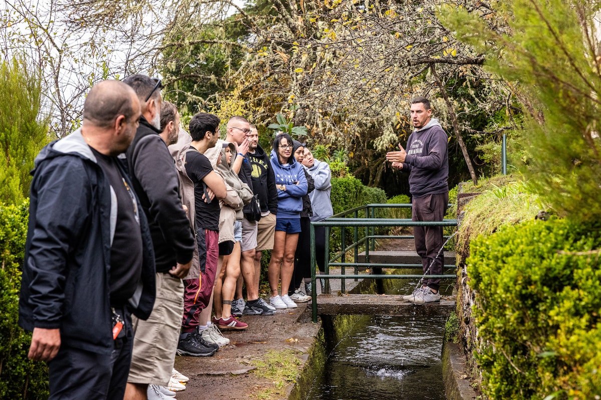 Discover volcanic pools and mystical forests