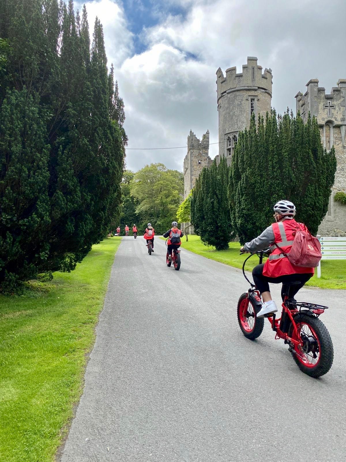 Panoramic e-Bike Tour