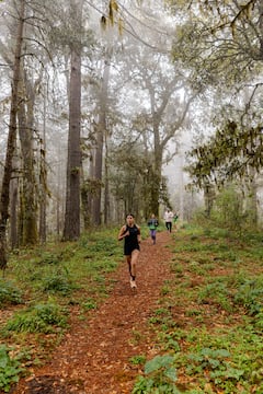 High-Altitude Trail Run in Oaxaca