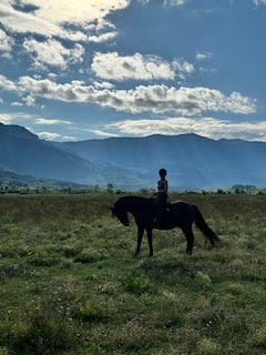 Explora el campo a caballo