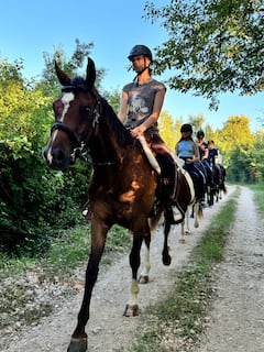 Explora el campo a caballo