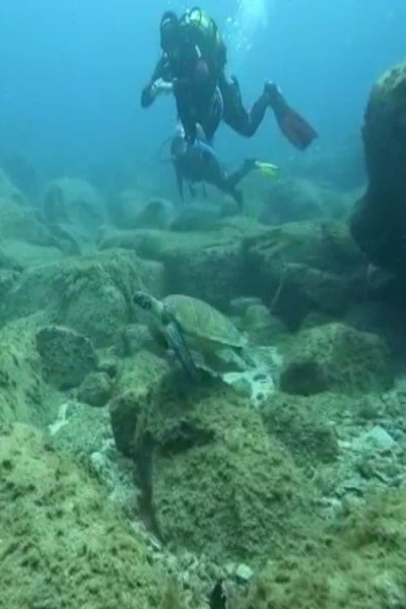 Learn to scuba dive in Tenerife