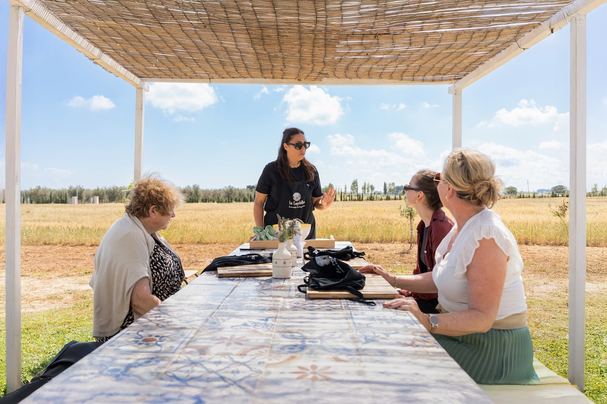 Pasta course, dinner, wine and tasting olive oil