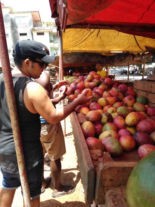 Taste Cuban street food