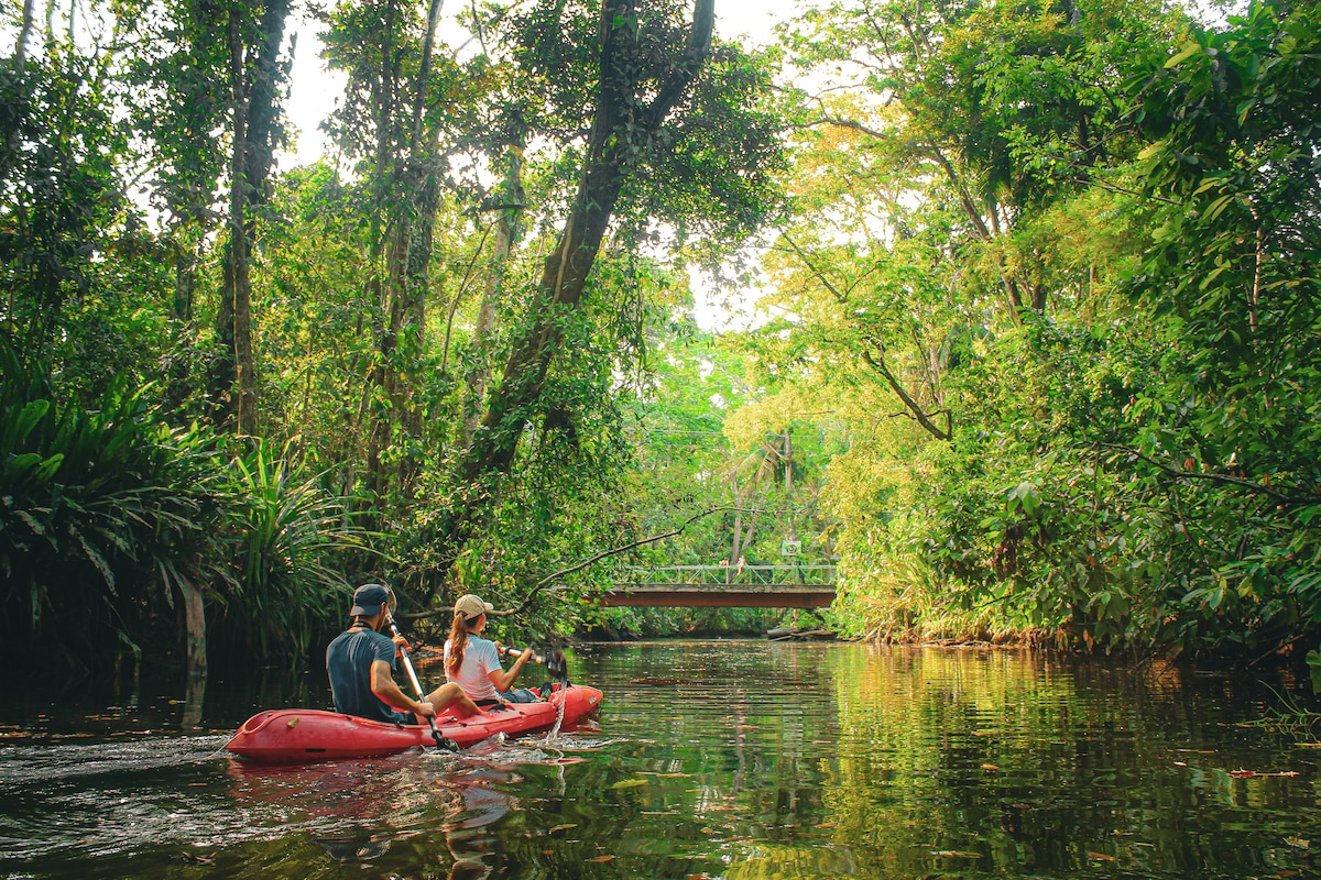 Pick up included kayaking and viewpoint hiking