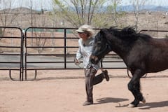 Relájate y conecta con caballos en el desierto