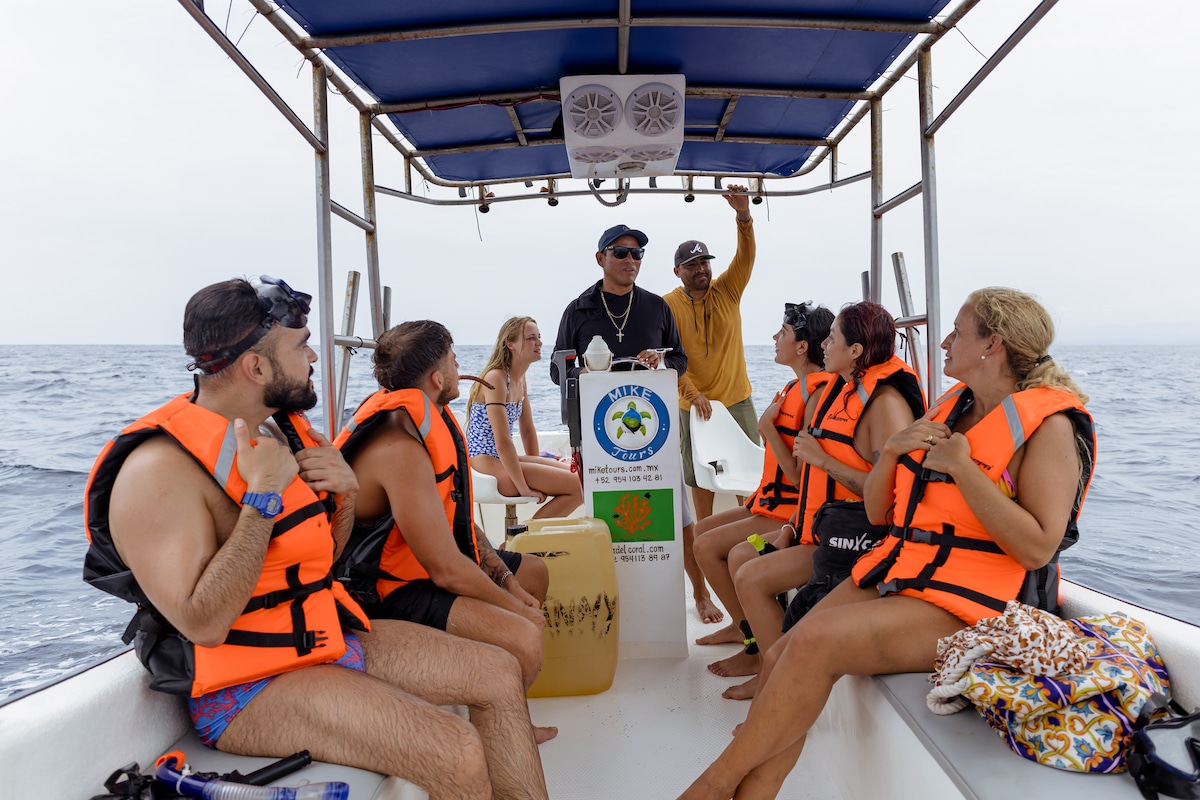 Découvrez la faune marine