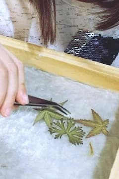 在 94 年家族经营的造纸厂制作明信片