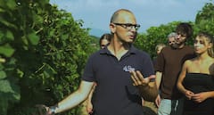 לטעום יינות ברדולינו באגם גארדה עם מקומיים