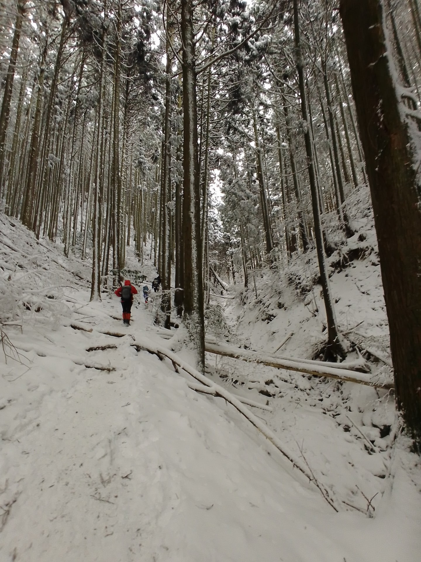 Osaka mountain hike and trout fishing · ☆4.97