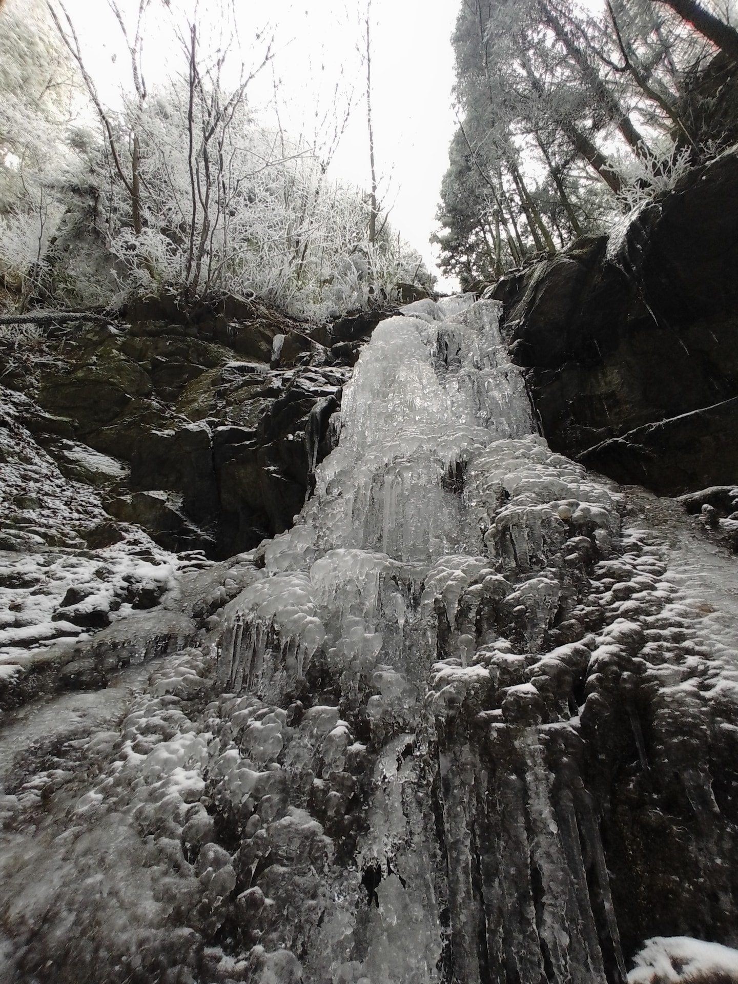 Osaka mountain hike and trout fishing · ☆4.97