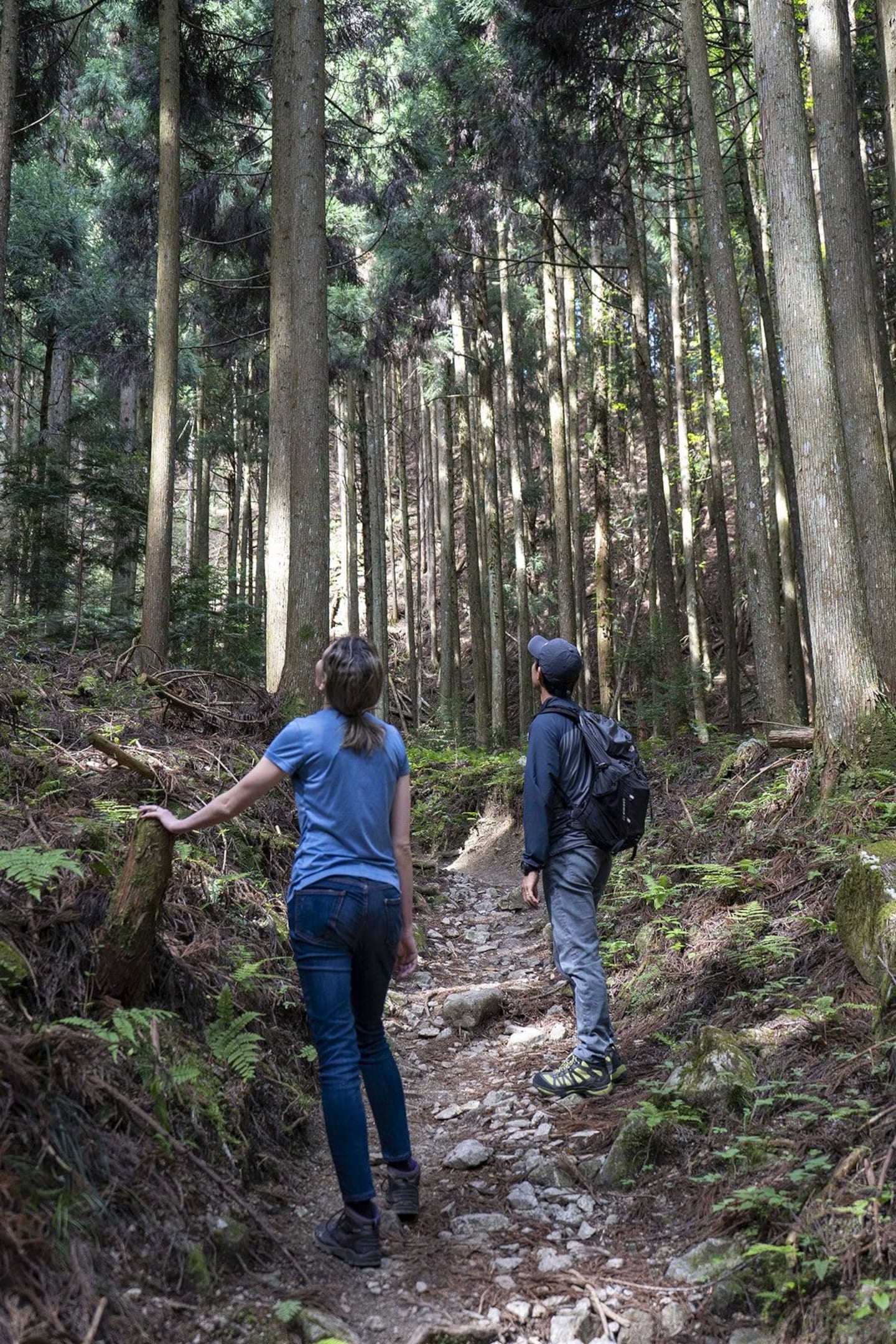 Osaka mountain hike and trout fishing · ☆4.97