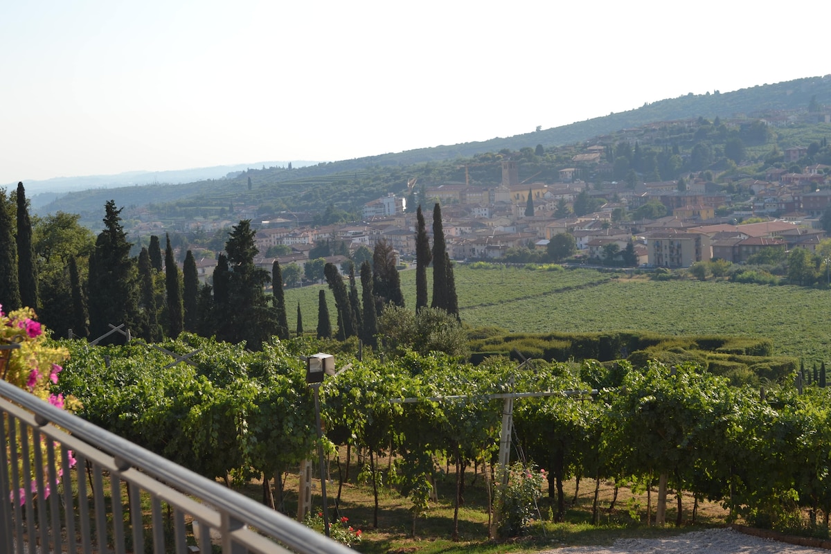Valpolicella winetasting with the winemaker