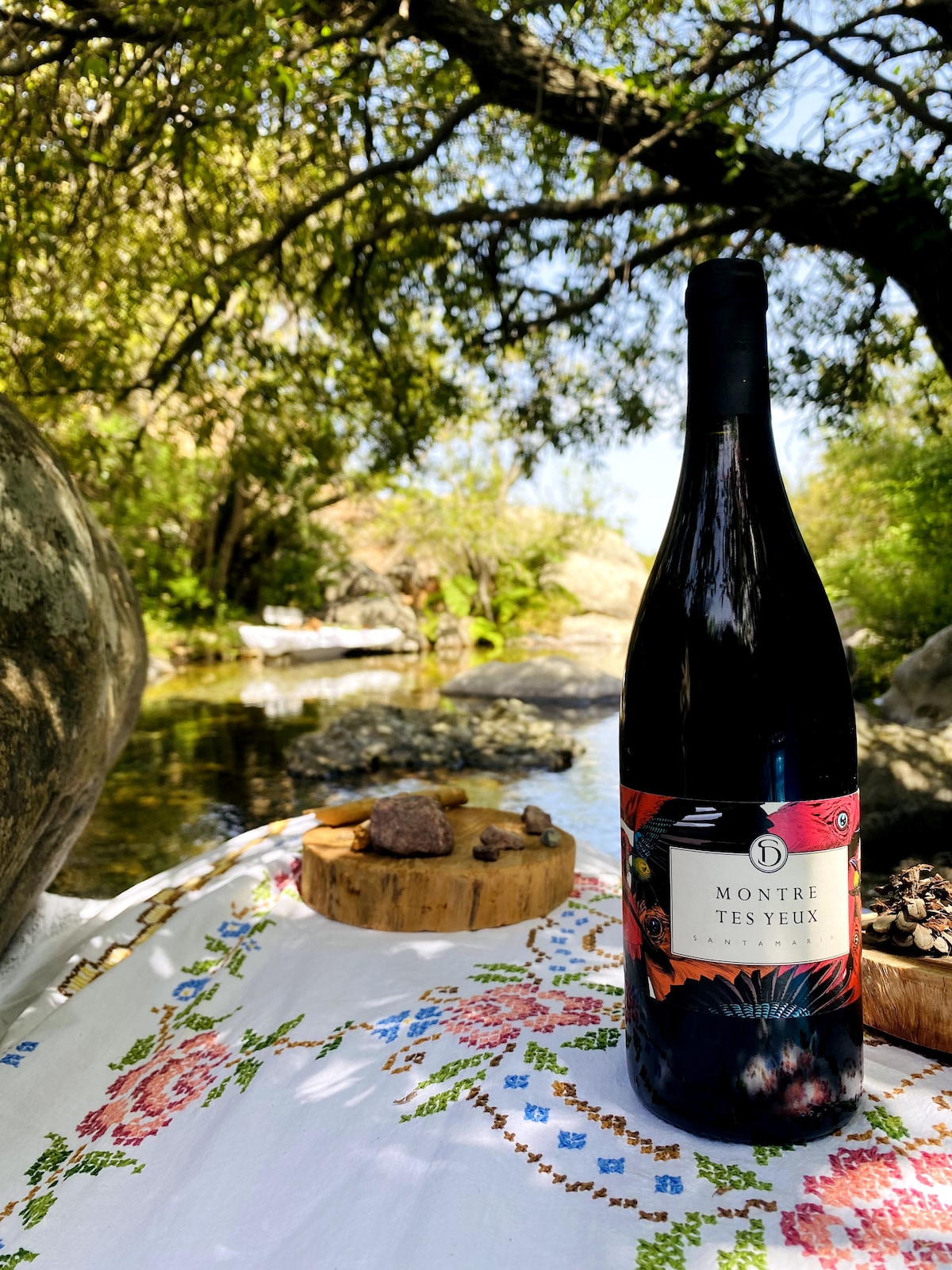 Private wine tasting excursion around Patrimonio