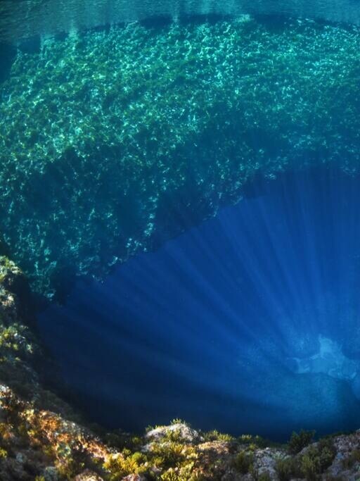 Dive in Maltas marine reserve