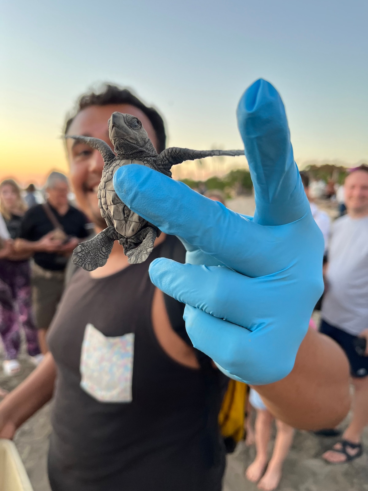Libération des tortues bébés dans un camp