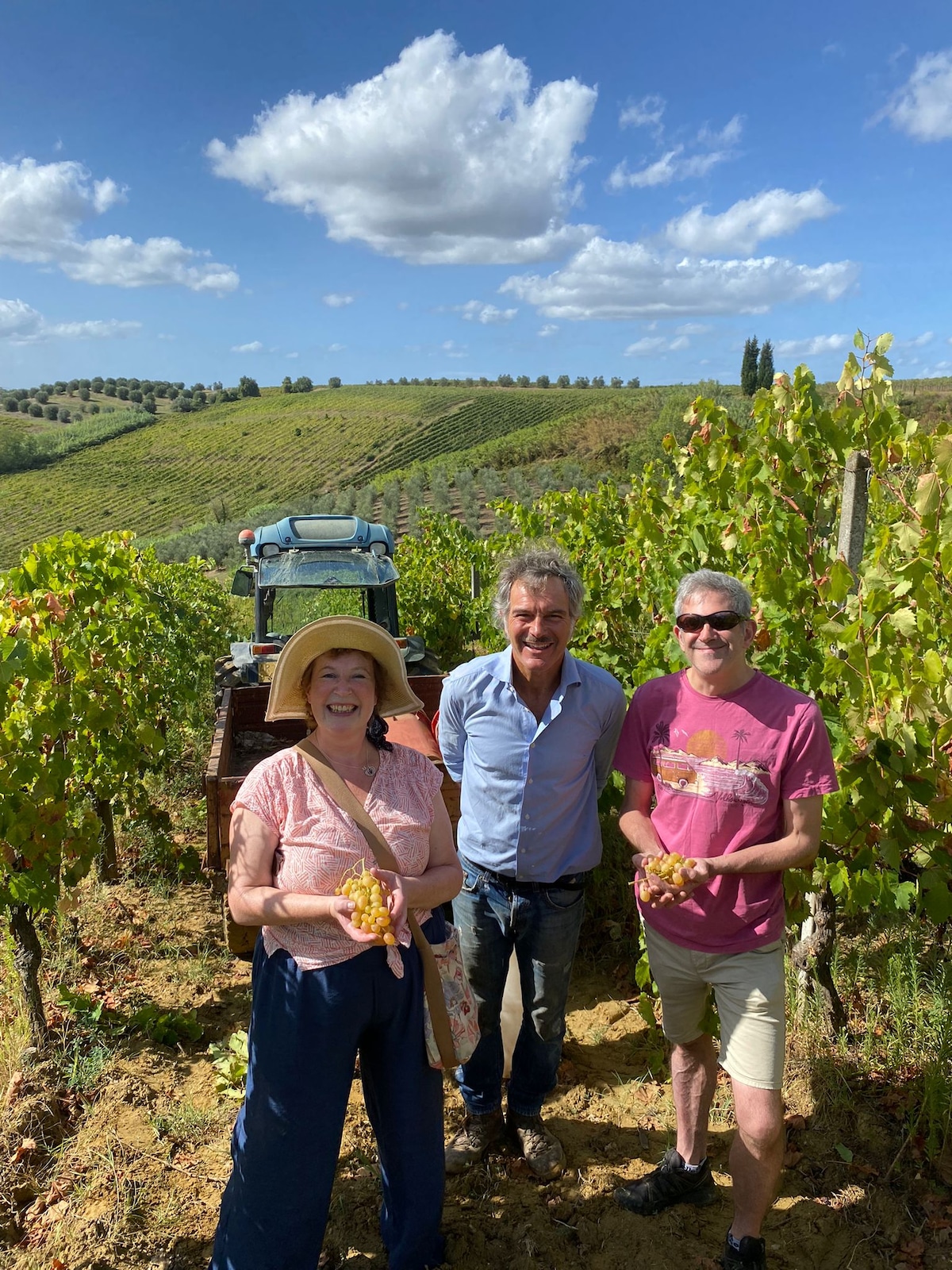 Taste wines from the vineyard to the glass