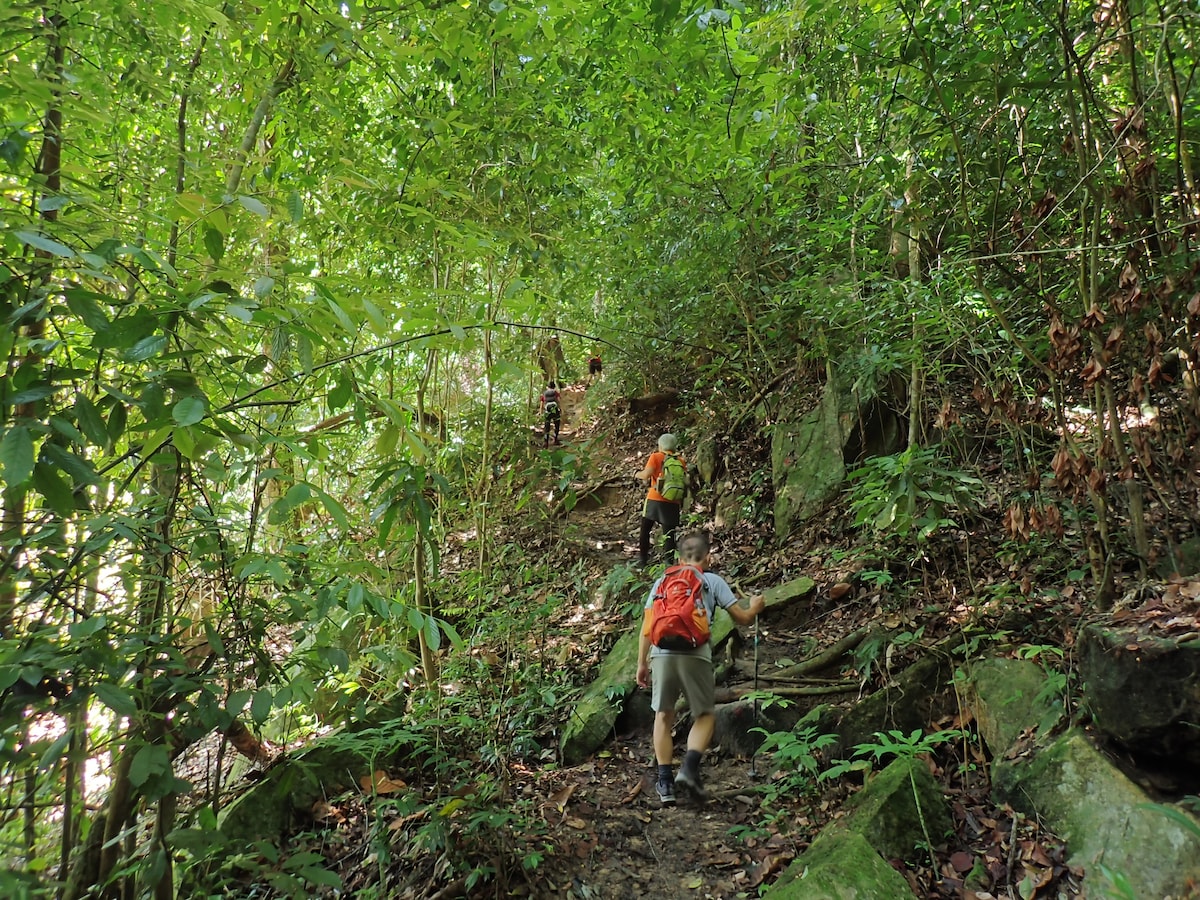 Jungle Day Retreat: Hike, Dip & Hammock