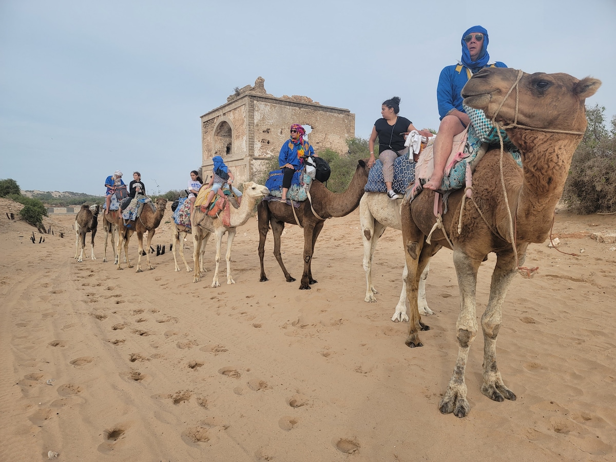 Ride a camel at sunset