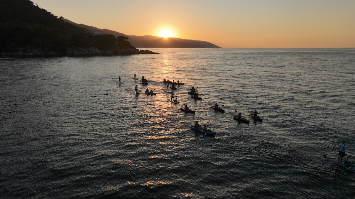 Magical Bioluminescence Experience