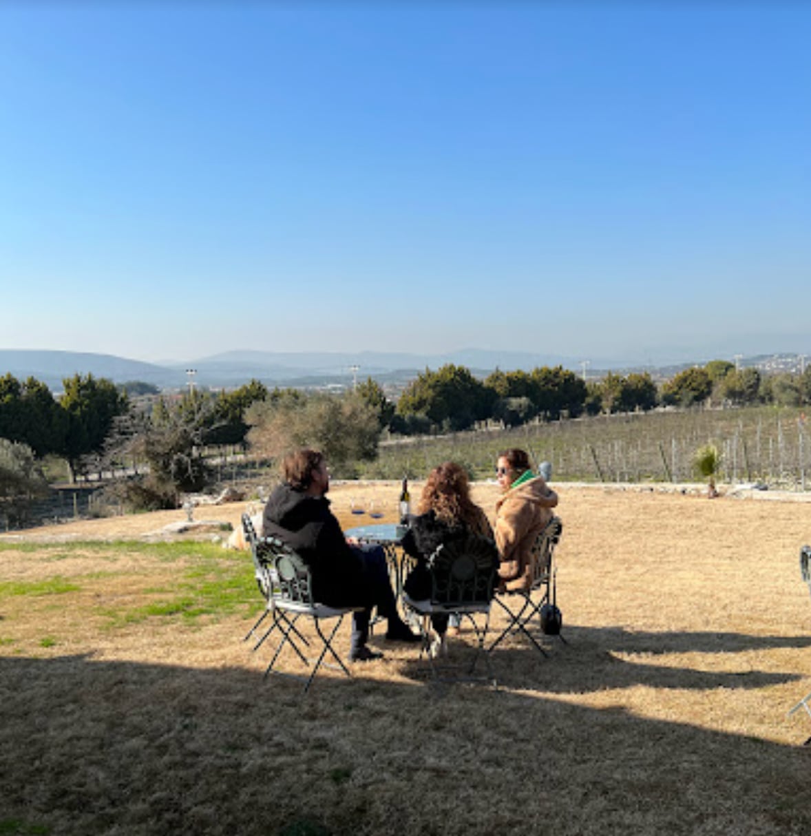 Taste wine at two boutique wineries