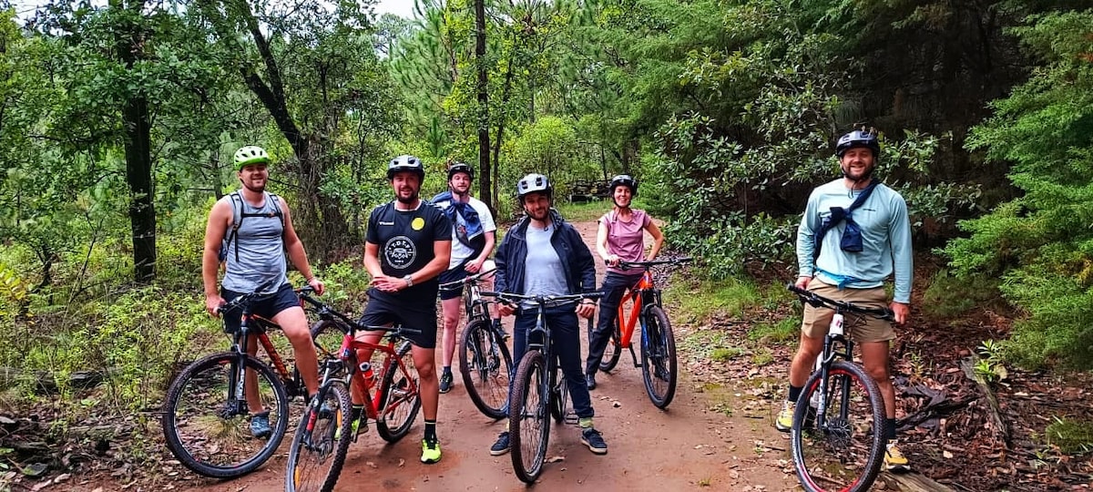 Bicicleta en sendero boscoso