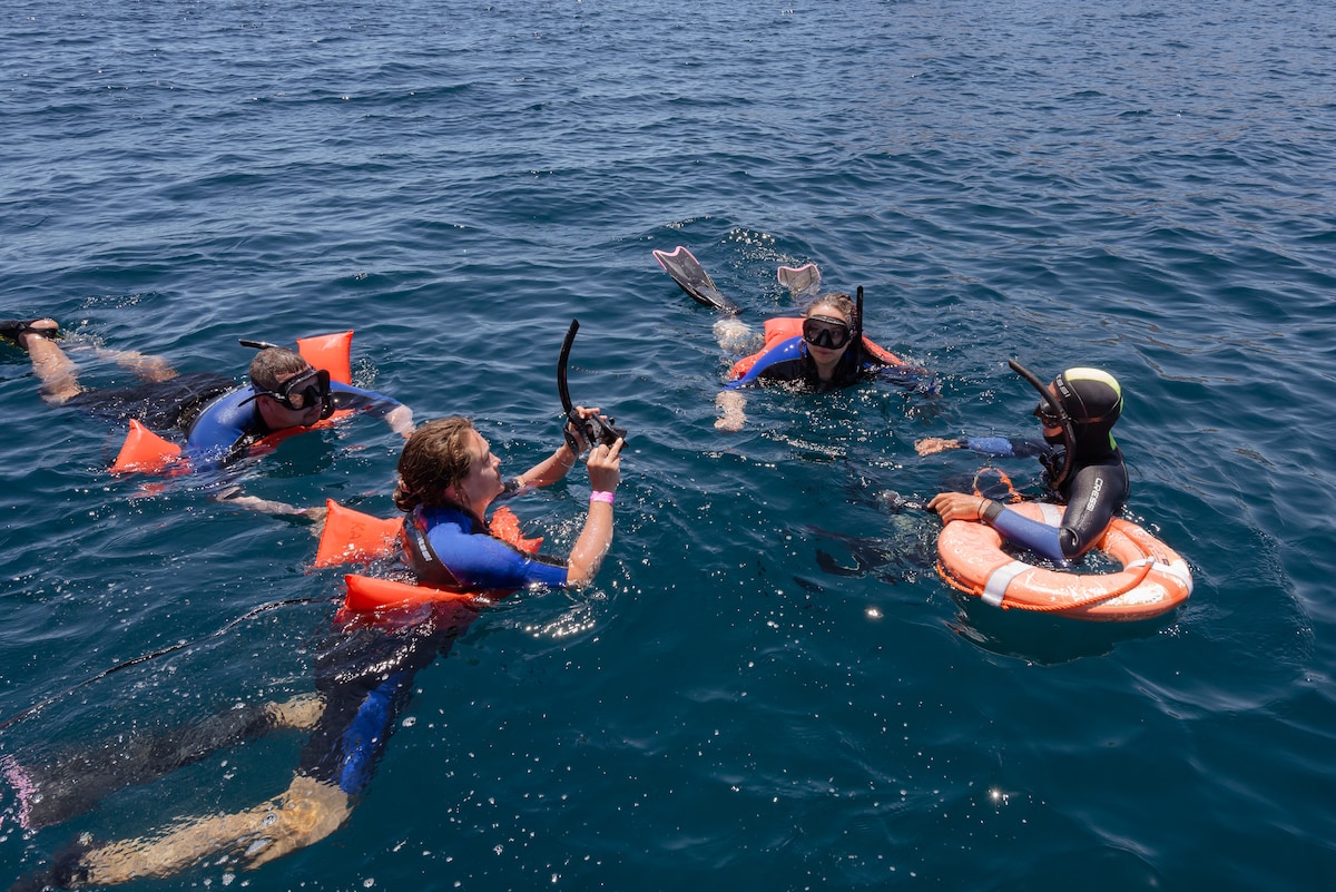 Snorkeling with sea lions on Espíritu Santo Island