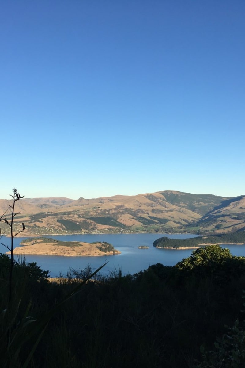 Explore the Port Hills like a local