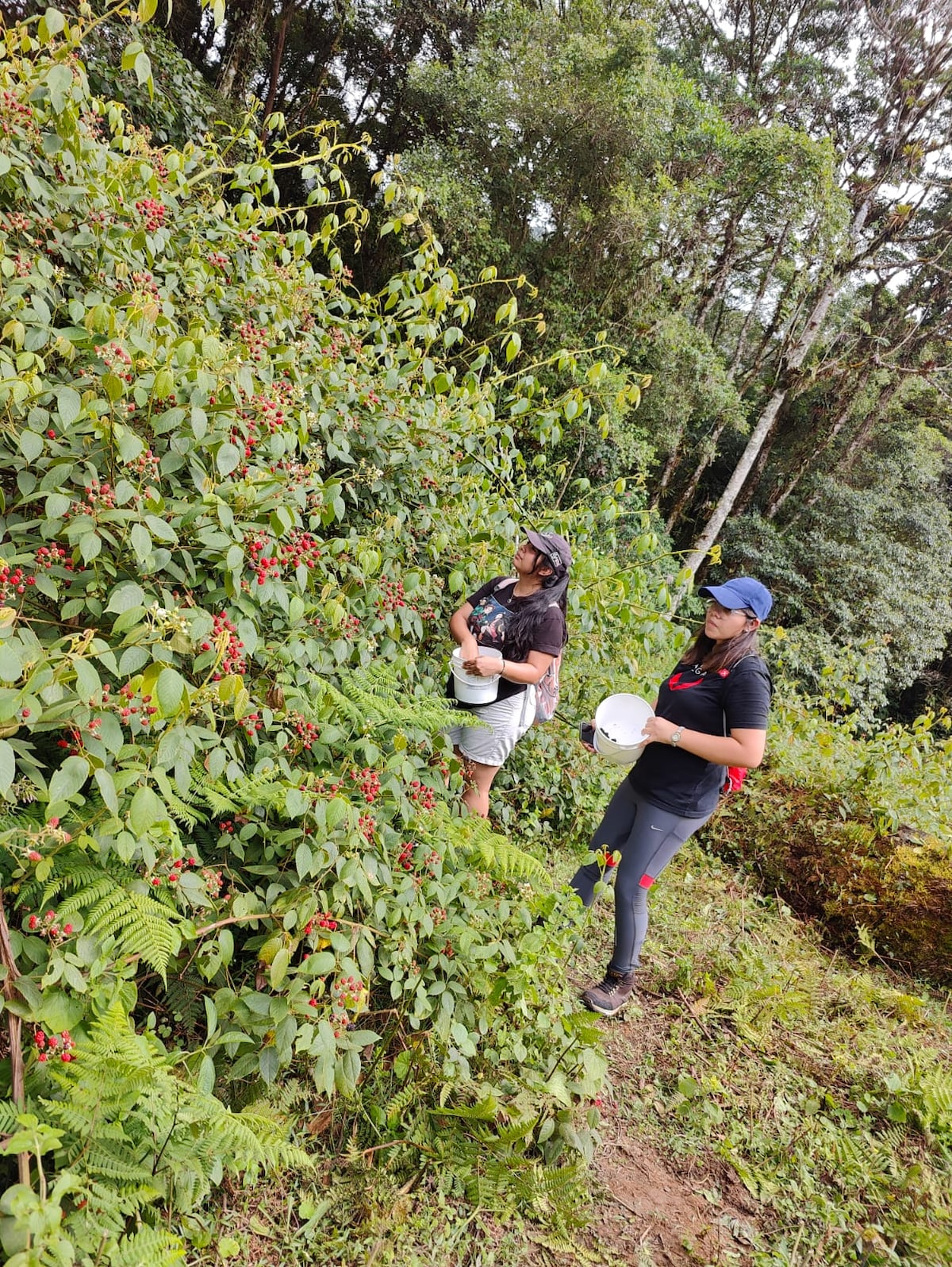 Enjoy the Tour de la Mora