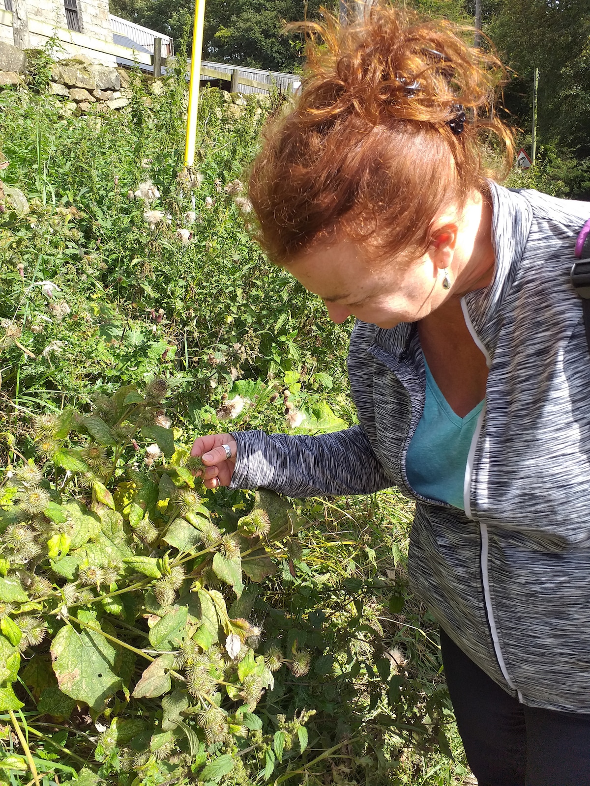 Foraging walk on North York Moors