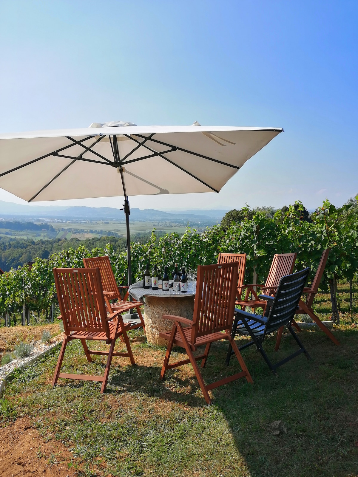 Sip wines and share laughs at Arret Winery